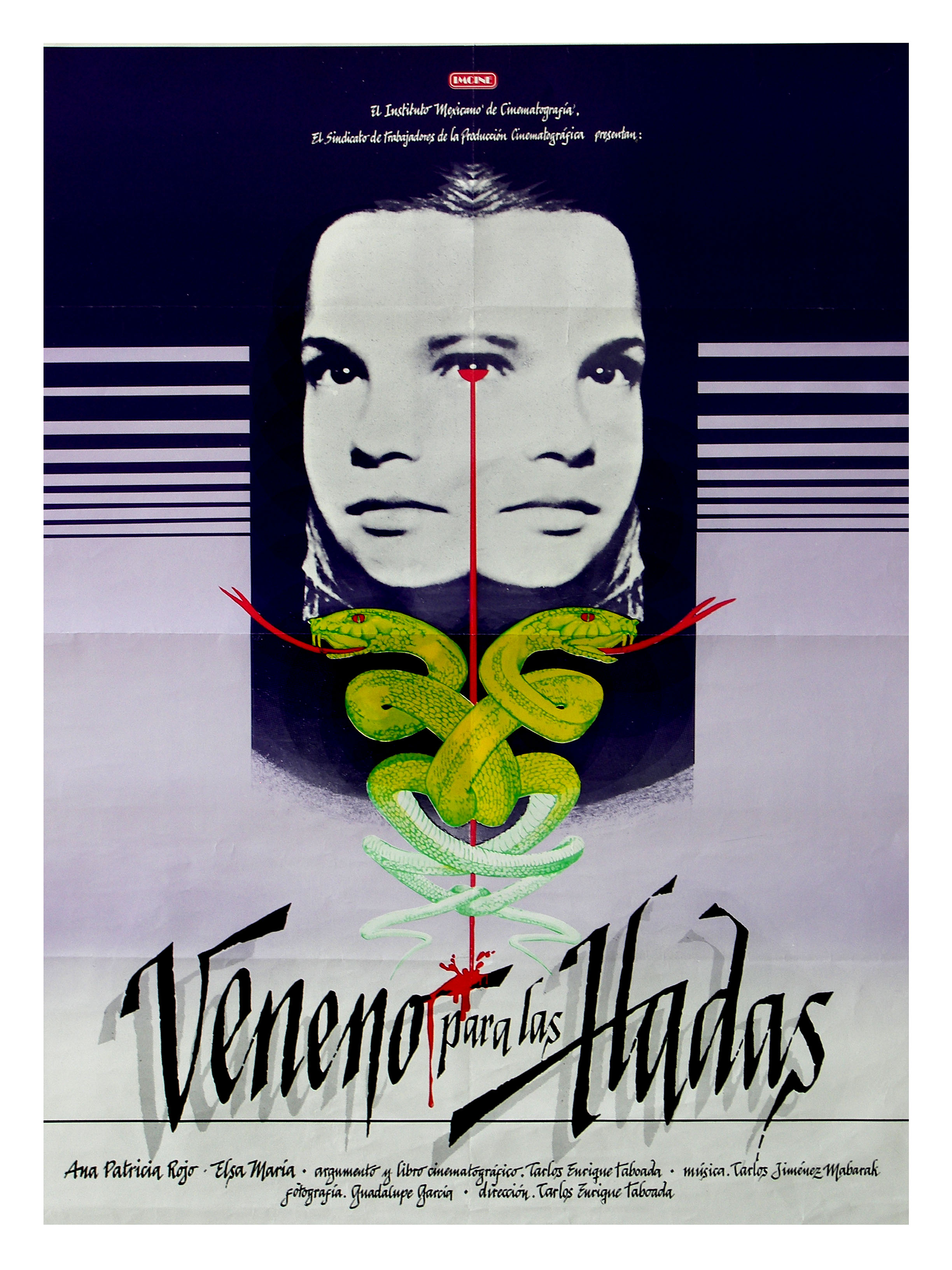 Actividad Cultural Comunitaria: Proyección: Veneno para las hadas y Luna